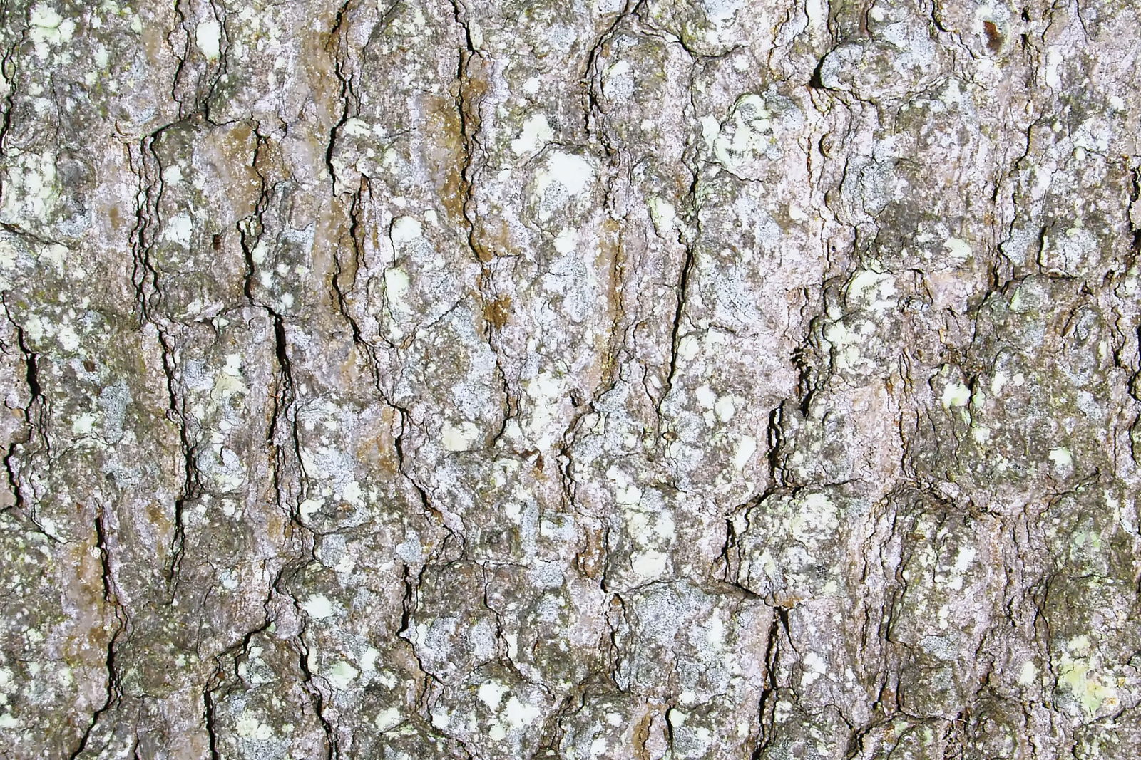 Timber and materials in the Square & True workshop