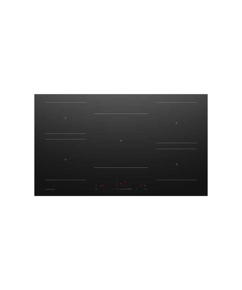 Fisher & Paykel CI905CTB2